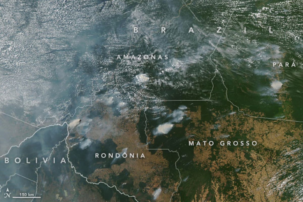 Nasa revela vistas satelitales del fuego en la Amazonas