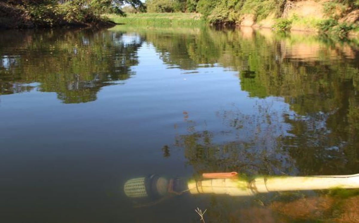 Investigan supuesto envenenamiento de río en Bugaba 