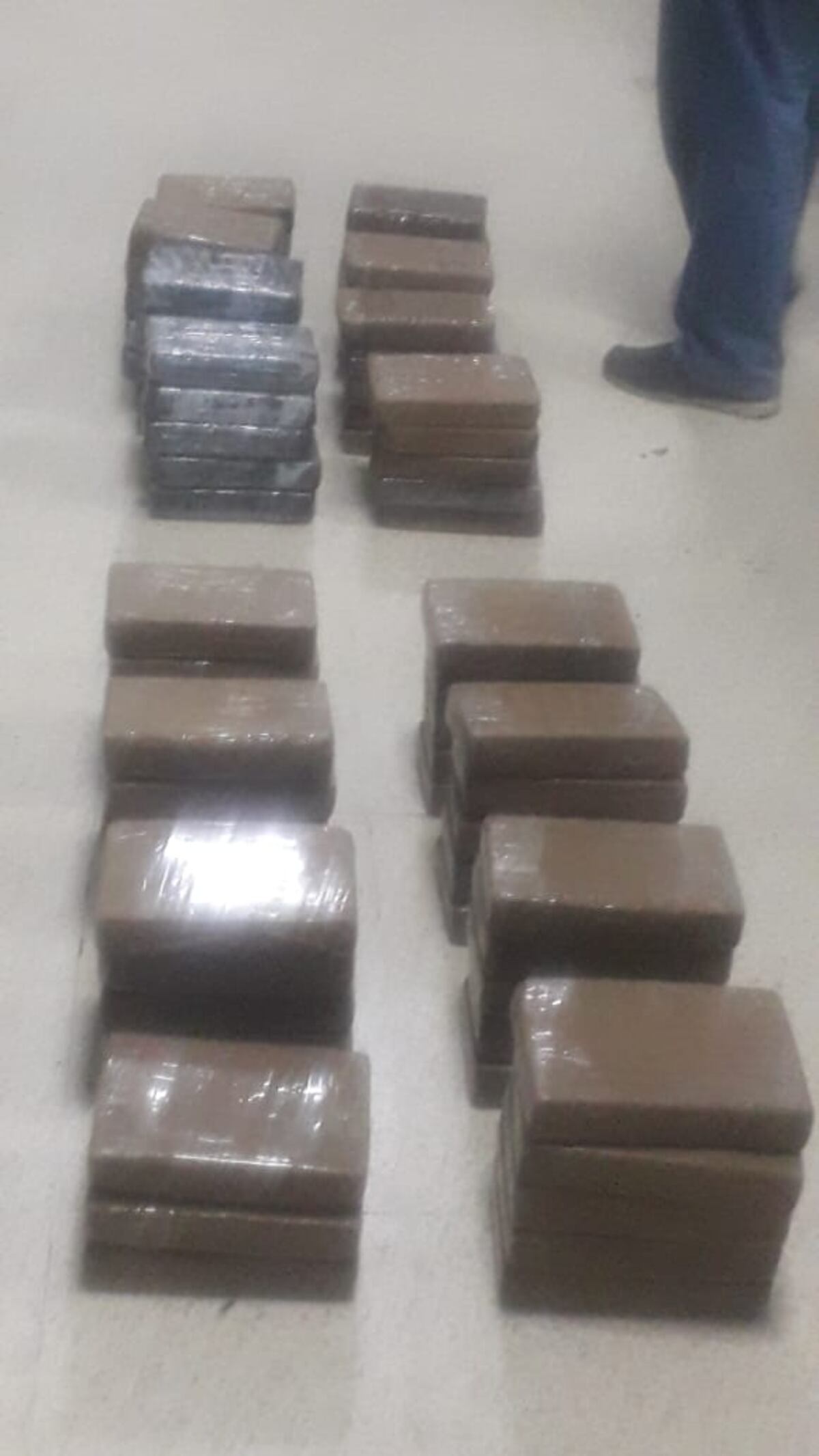 Pillan a mula con 78 paquetes de droga en la Terminal de Albrook