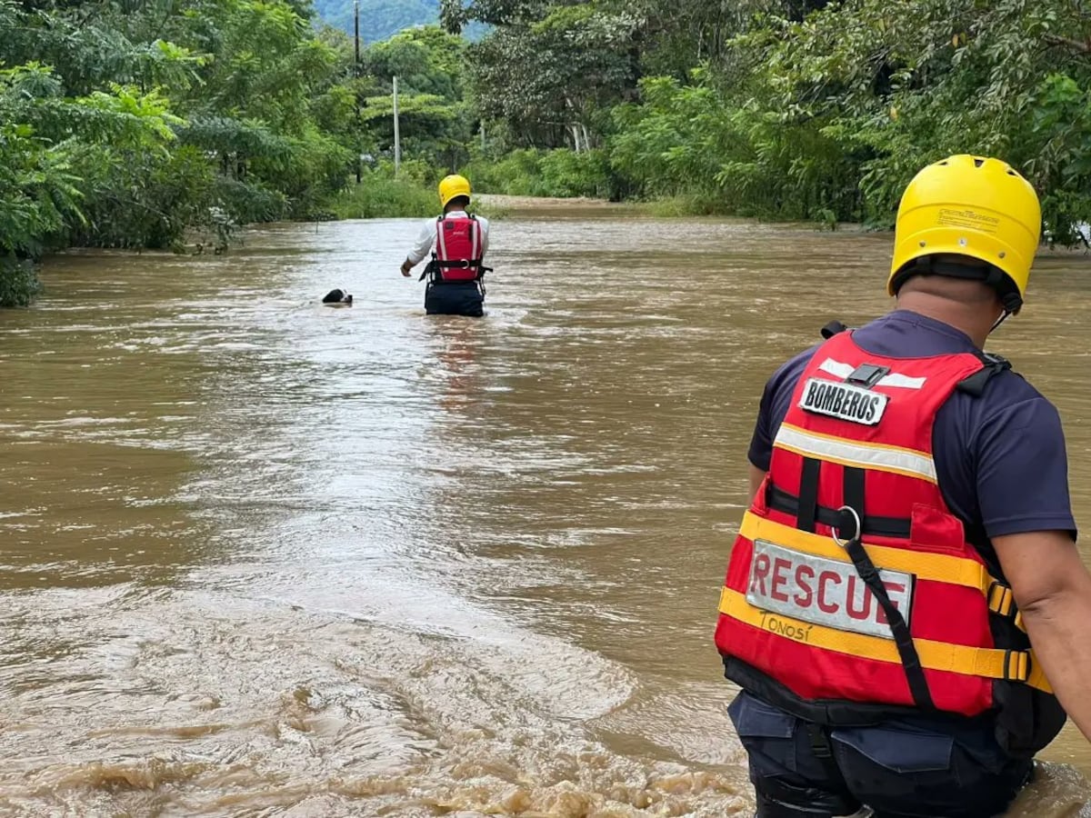 Se ahogan miles de cerdos, mientras rescatan y evacuan a muchas personas en Veraguas, Los Santos y Herrera. Video