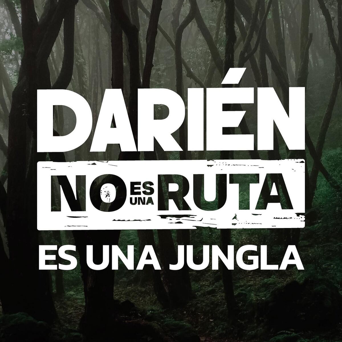 ‘Darién no es una ruta, es una jungla’, la campaña lanzada por Panamá ante la crisis de migración irregular 