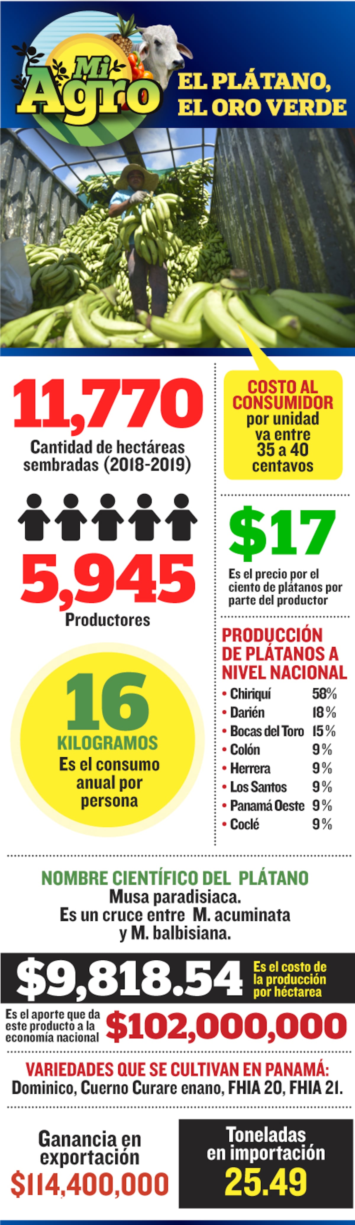 El poder del Darién se muestra en los cultivos de plátano