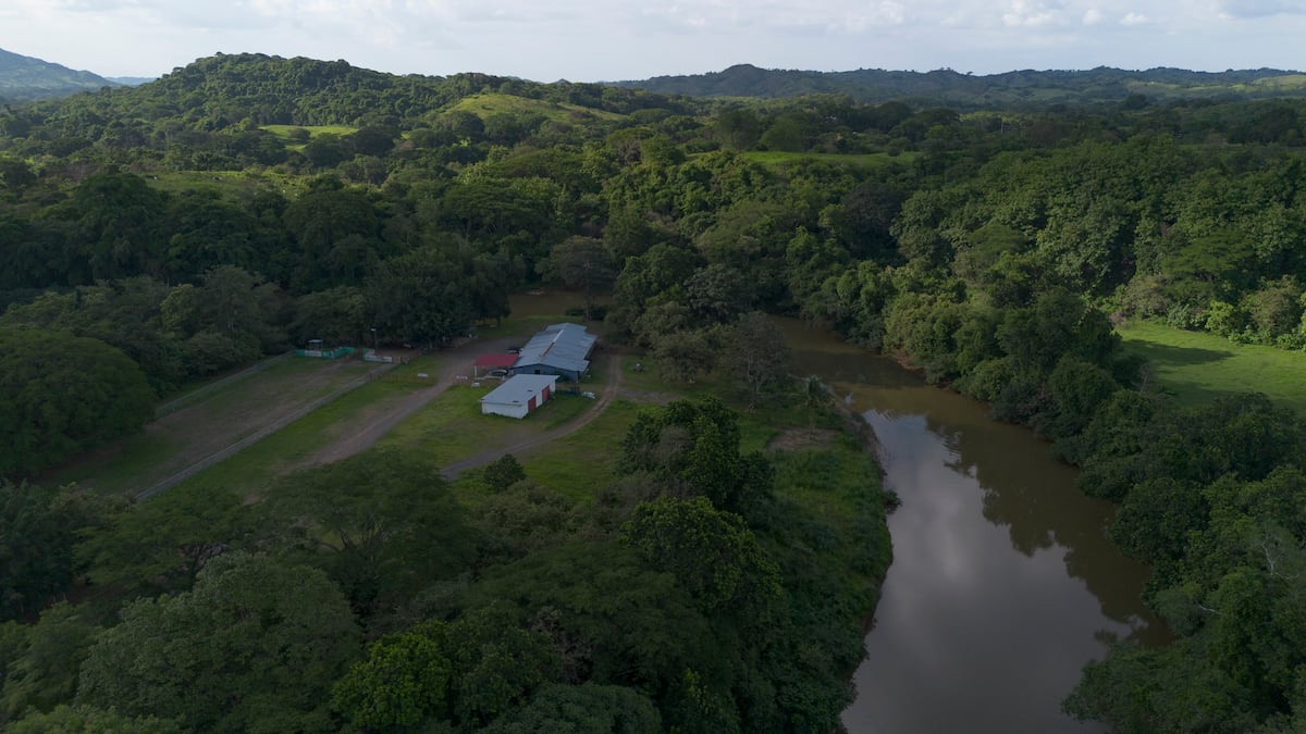 Le cayó la factura ambiental: MiAmbiente cobra multa millonaria por contaminar el río La Villa