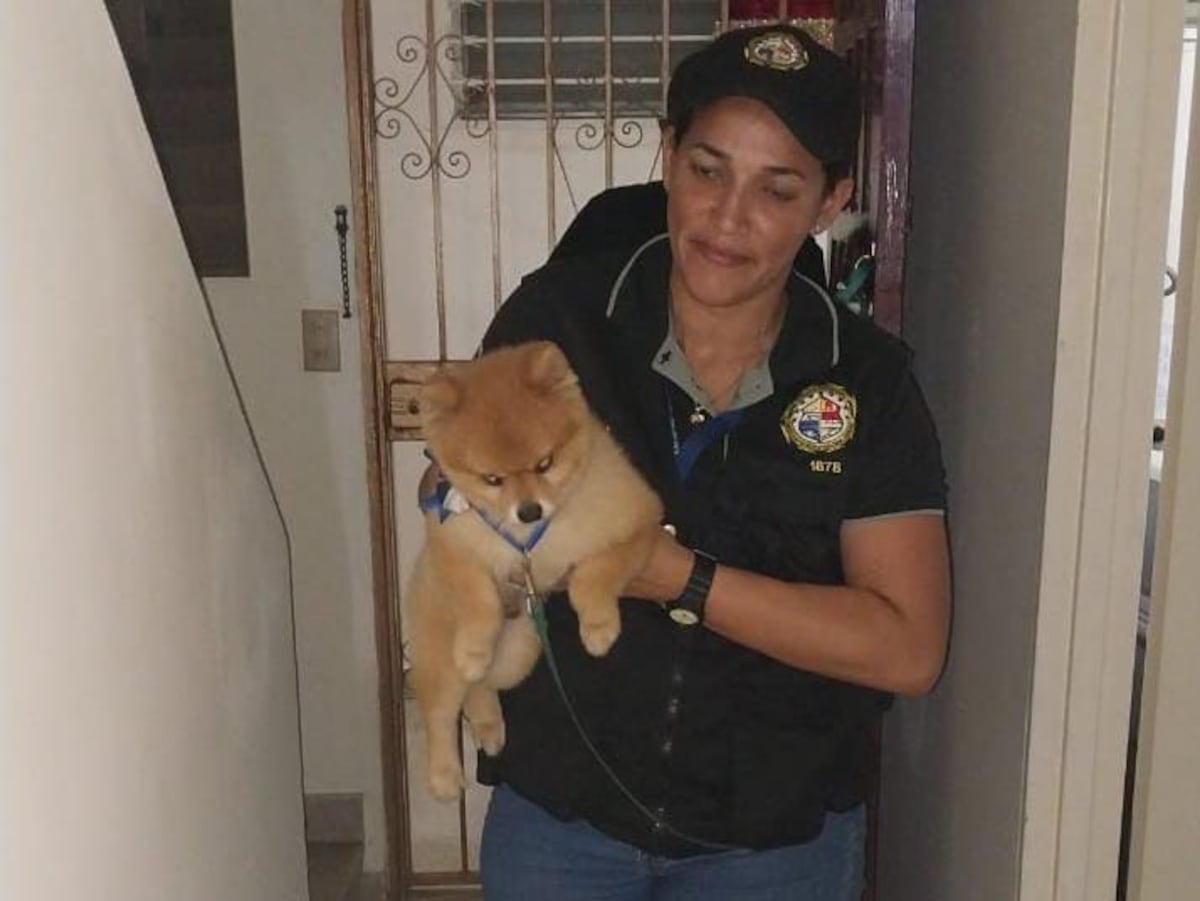 Recuperan perro valorado en $2 mil y descubren drogas y dinero: dos colombianas detenidas