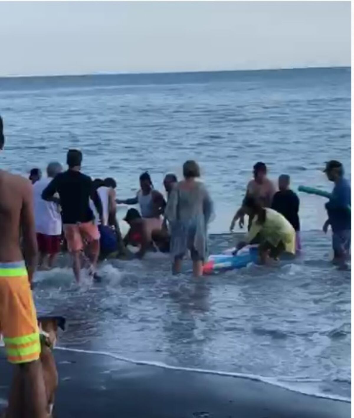 Abuela muere al tratar de salvar a sus dos nietas en playa Coronado.Video