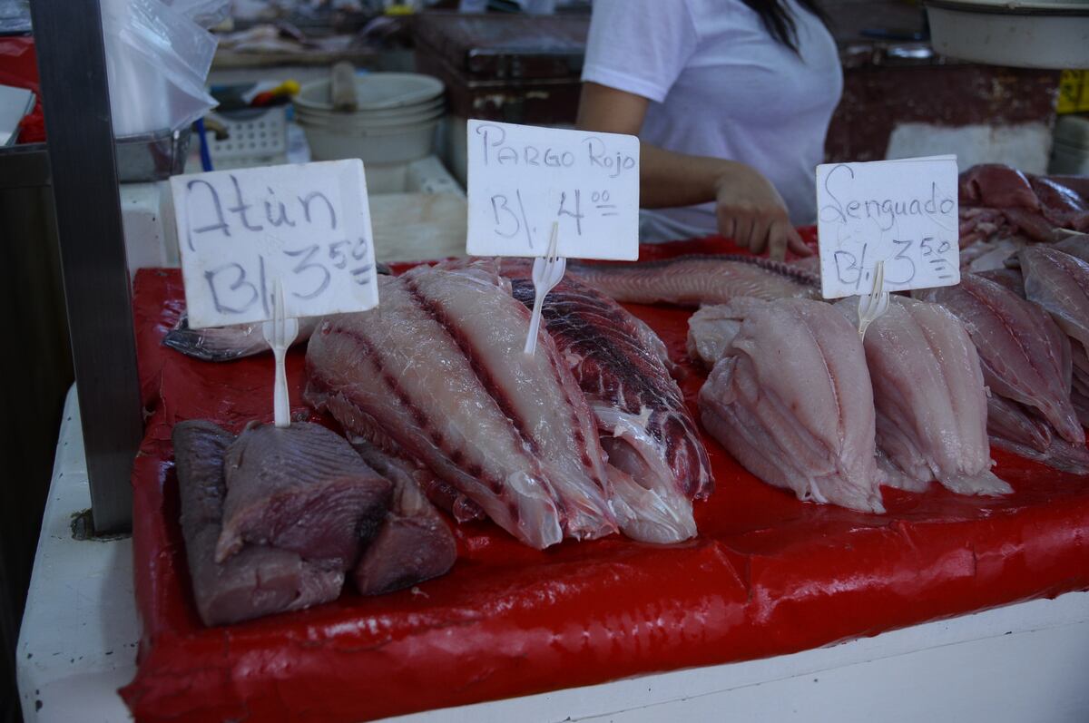 Ya algunos panameños se preparan para la cuaresma. Chequee los precios de los mariscos