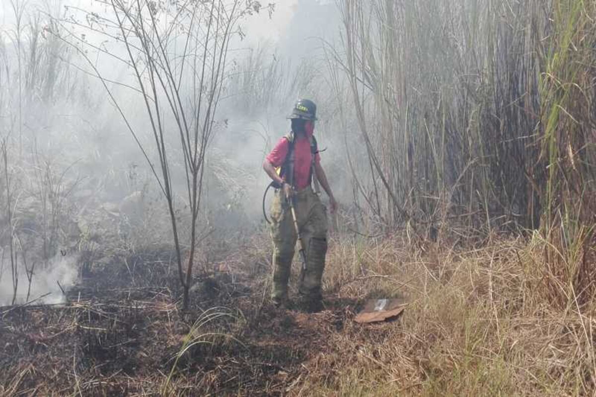 Incendios de herbazales sigue siendo un problema 