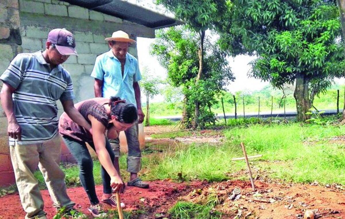 En Veraguas. Menor de 2 años falleció al caer en hueco de cero letrina