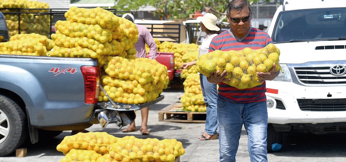 Son abusadores. Venden saco de naranjas a 14 dólares en el Merca