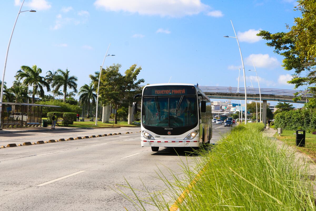 Hay unas 600 de las 1050 unidades de Metrobuses que están operativas