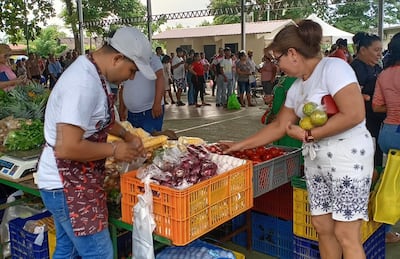 IMA anuncia Agroferias para martes 11 y miércoles 12 de agosto