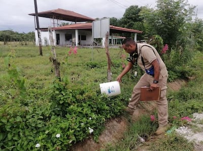 Casos de dengue en Panamá disminuyen 27.3% hasta la semana epidemiológica 37