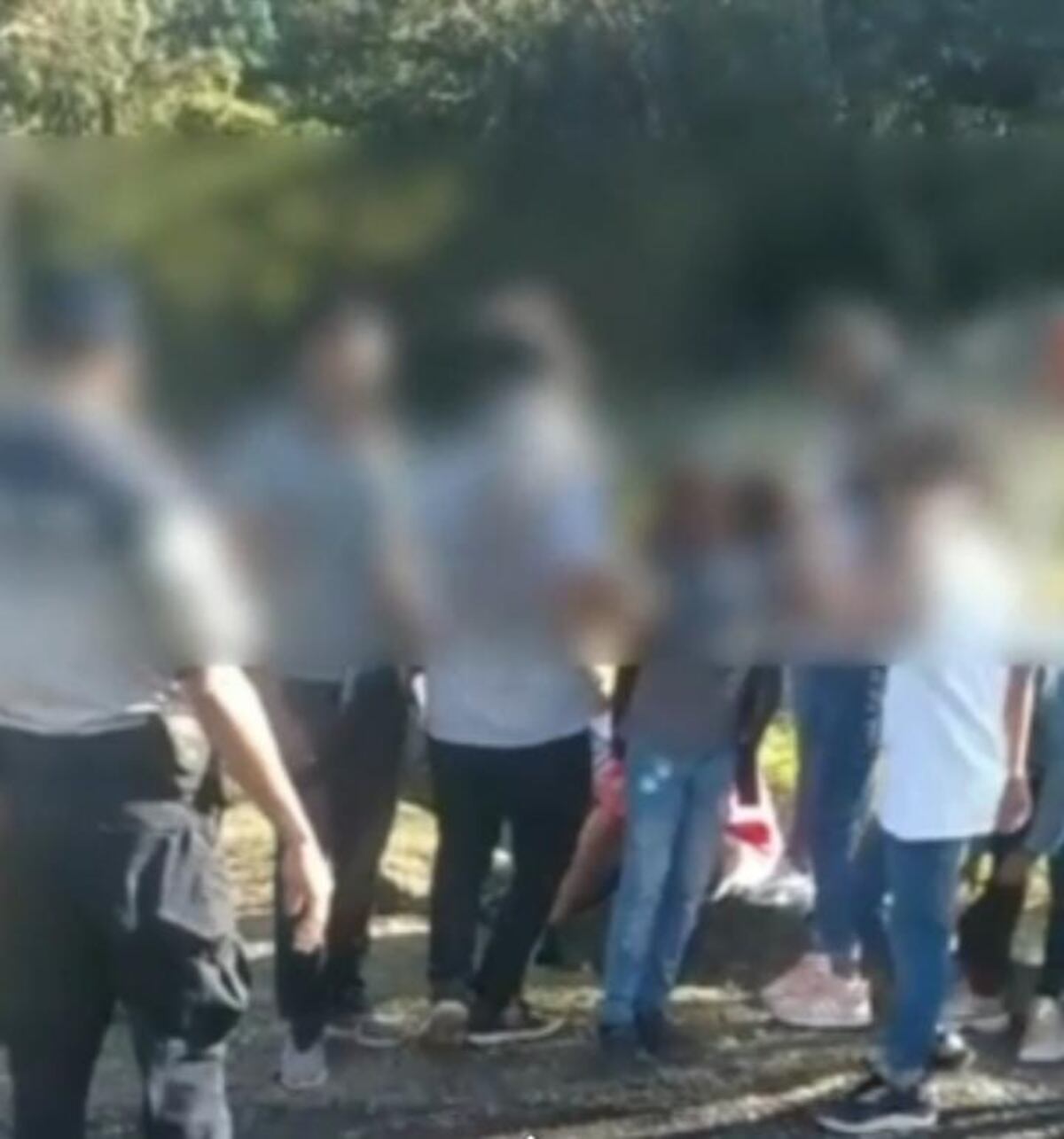 Momentos de angustia. Grupo de scouts perdió el rumbo y se extravió en El Valle. Una llamada al 104 les salvó la vida. Video