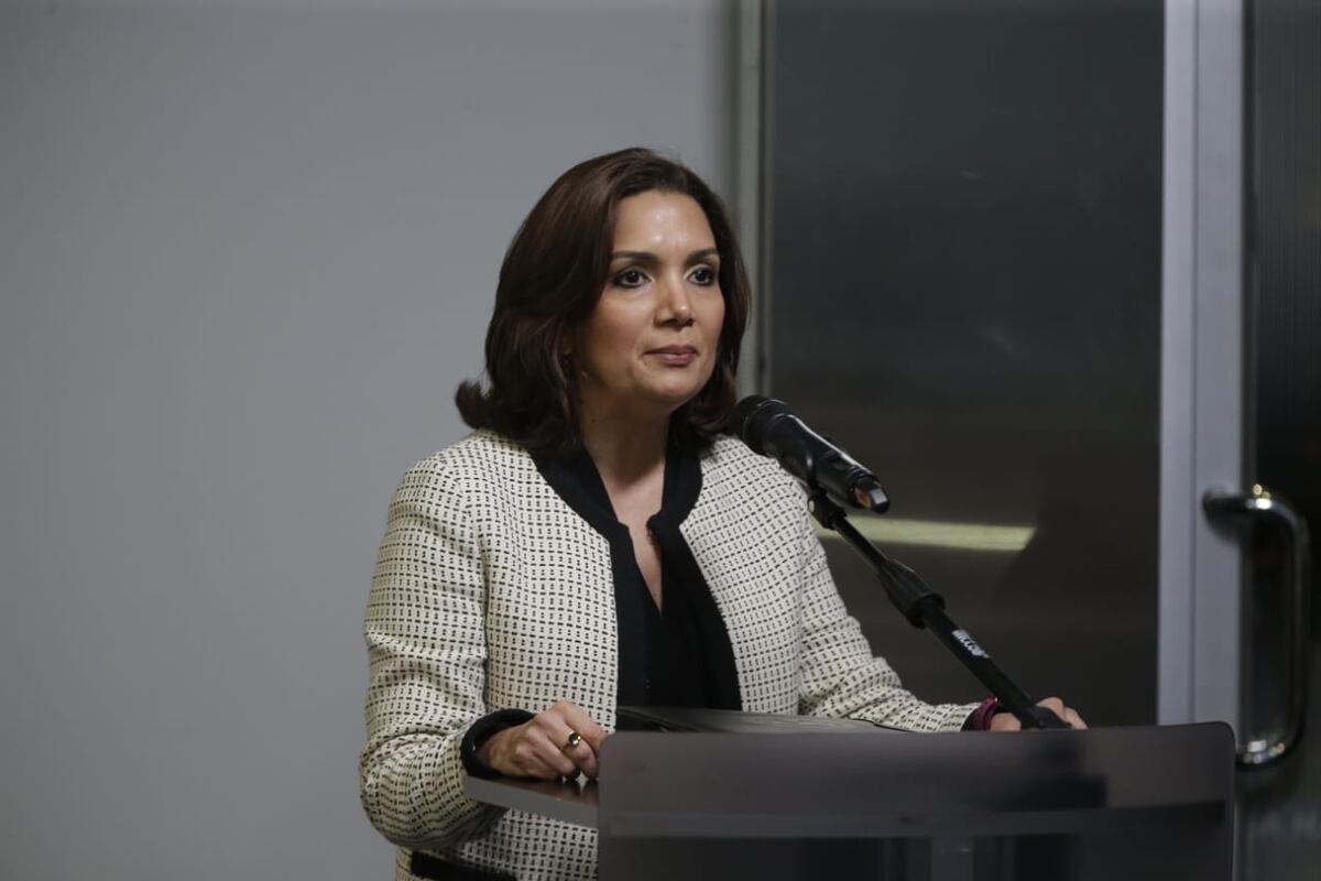 Zulay llega con gritos, reclamos y acusaciones para el procurador suplente Caraballo