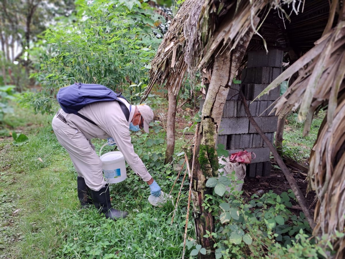 Muere hombre en Veraguas por hantavirus