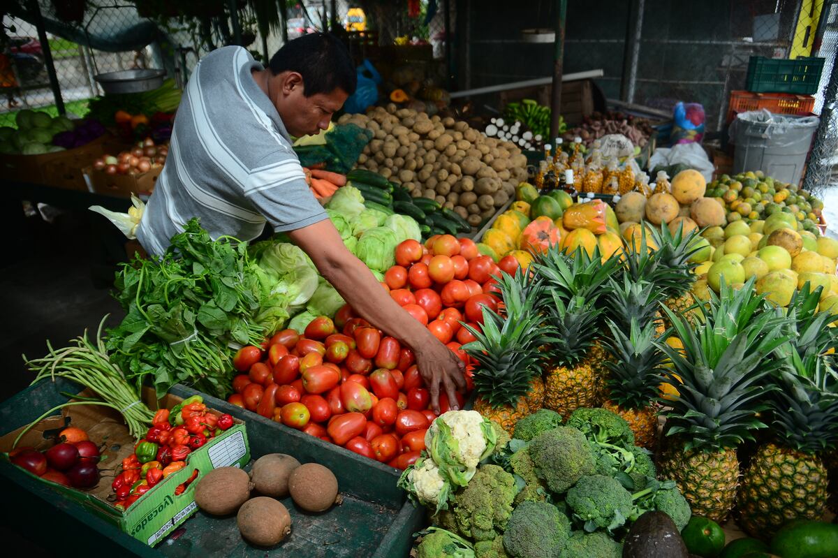 Alimentos para dejar de fumar. Más de 9 mil panameños mueren anualmente por enfermedades relacionadas al tabaquismo 