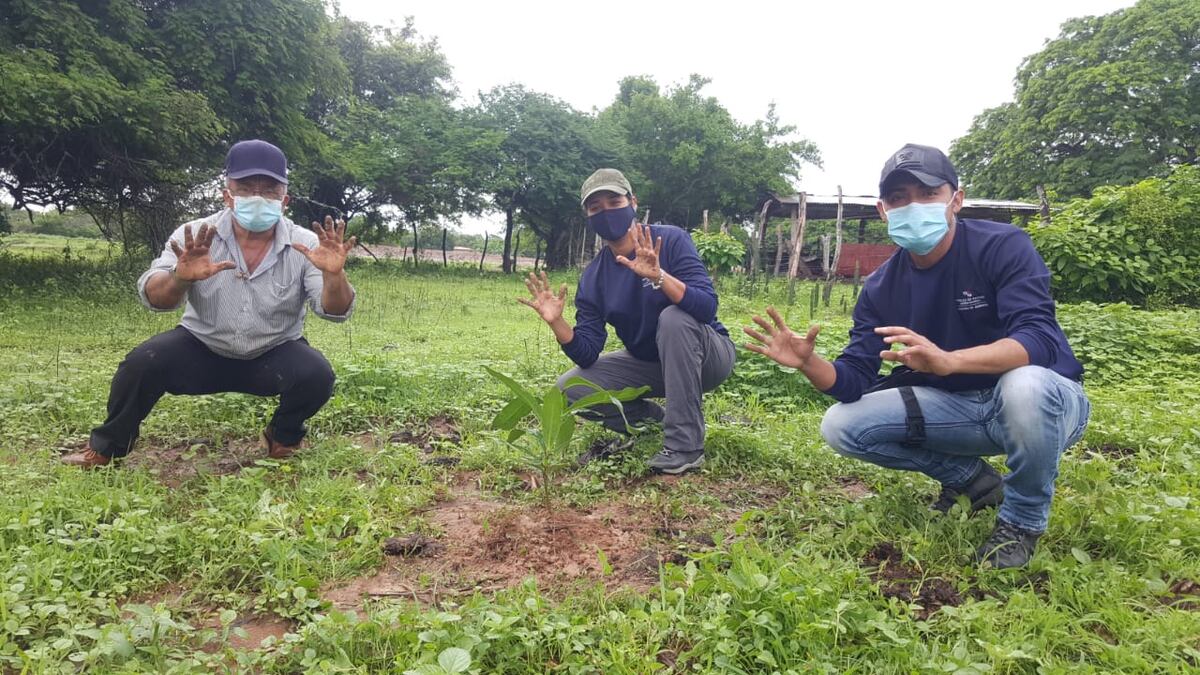 Celebran el día Nacional de la reforestación