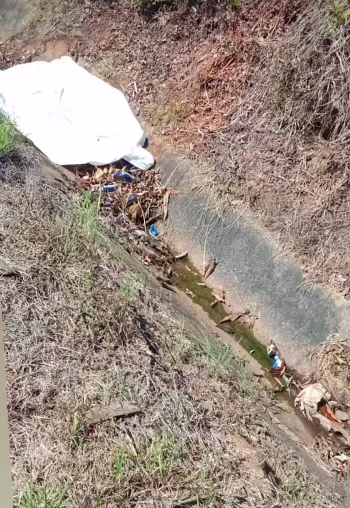 Fatal caída en Cerro Azul: Papayas y un barranco cobraron una vida