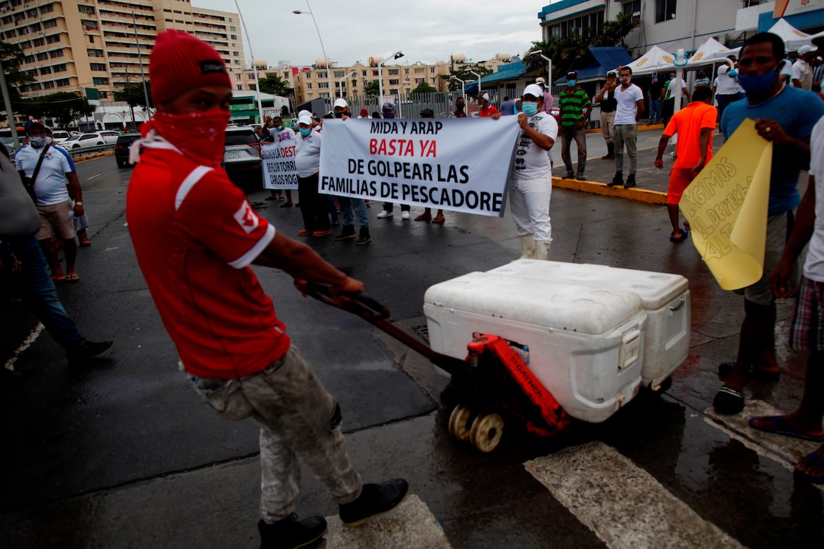 Proponen una década de veda para tiburón y raya en Panamá