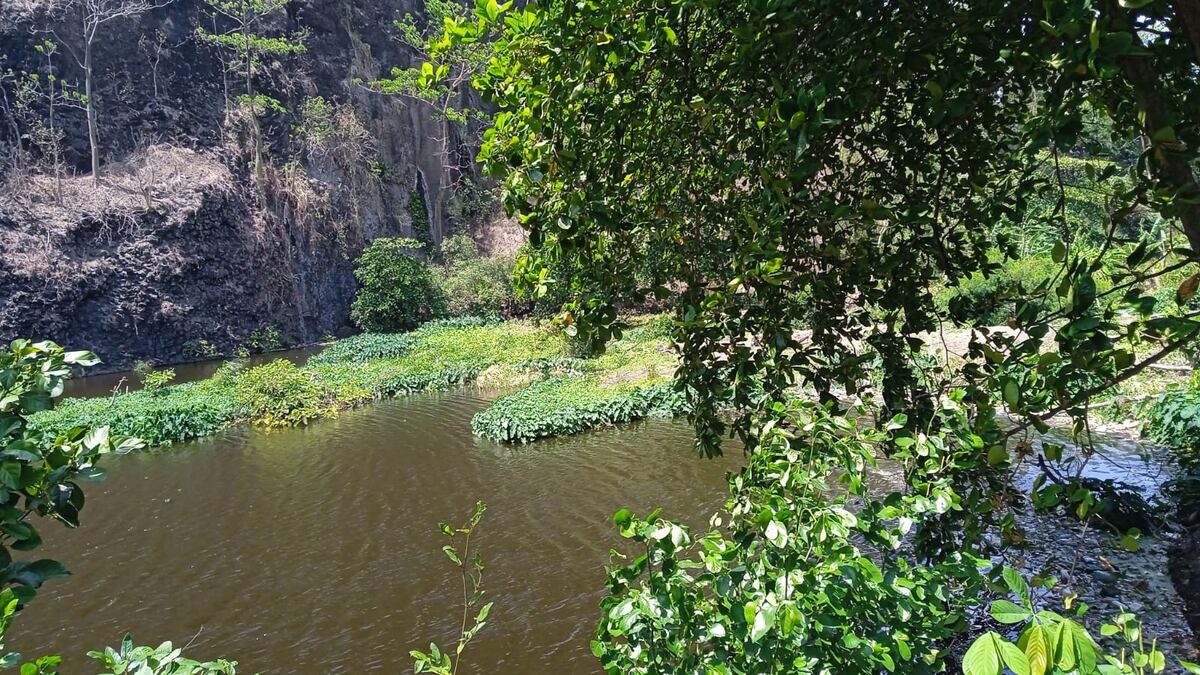 Resucitar el Lago de Los Andes: La Nueva Apuesta Ecoturística de San Miguelito 