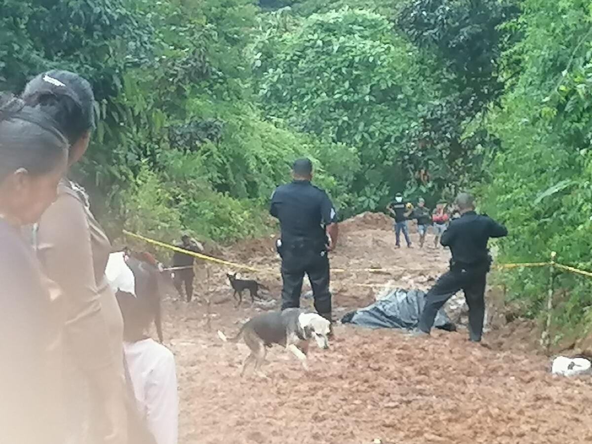 Tragedia. Hombre de 67 años fue aplastado mientras cabalgaba