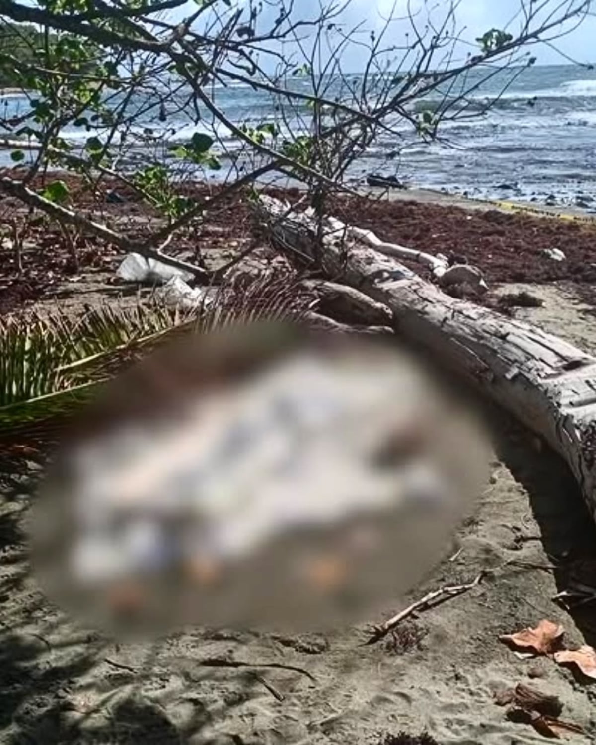 Crimen en Piña: Hallan sin vida a joven de 18 años en playa de Colón con impacto de bala