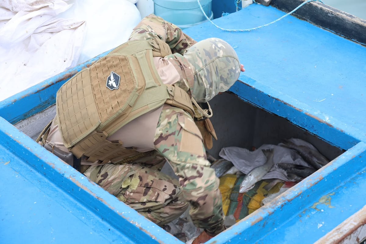 Ni el olor a pescado logró esconder los 571 paquetes de presunta droga