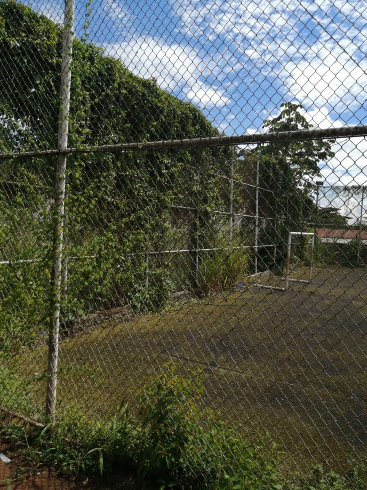 Entre heces de palomas, basura, mal olor y el mal estado de las infraestructuras,  estudiantes de la escuela de Cerro Tigre reciben clases