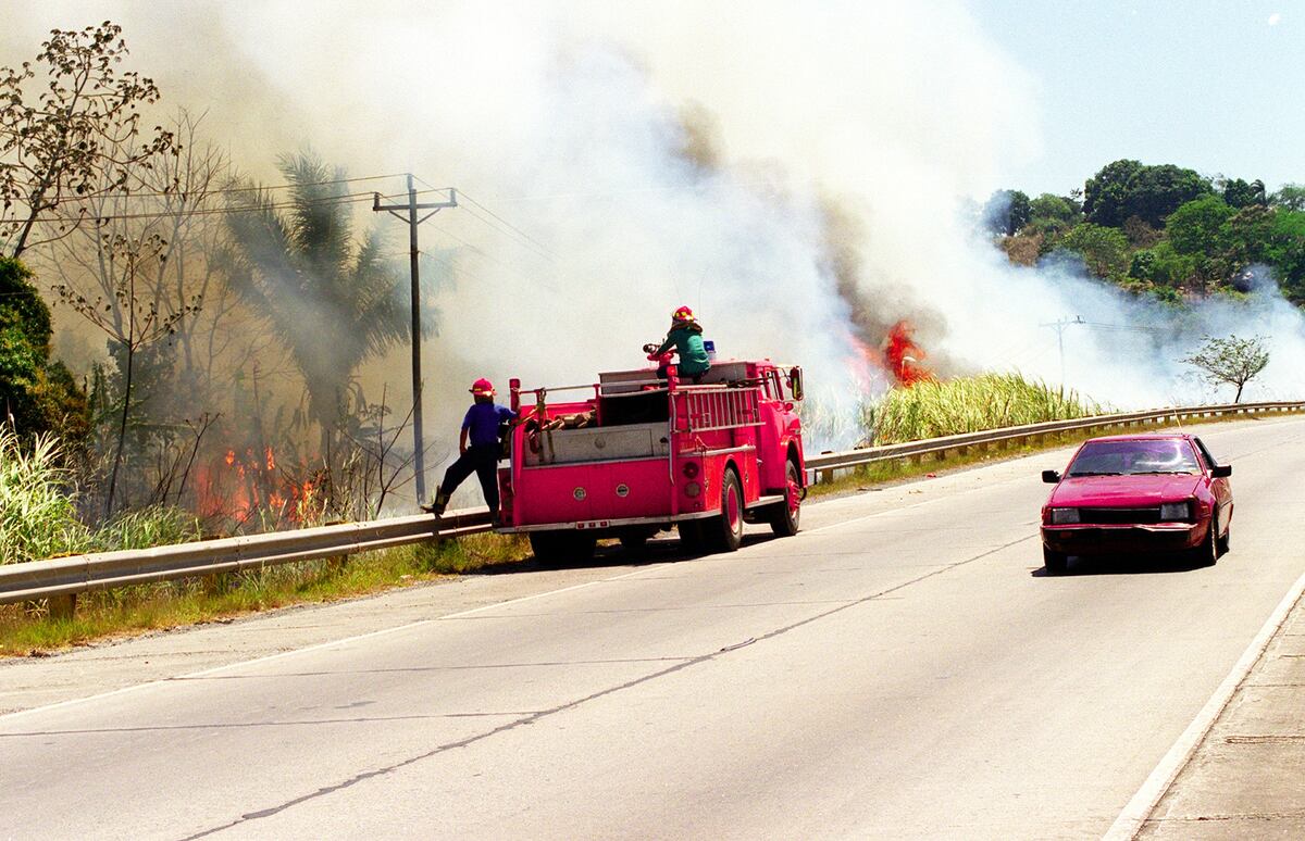 Más de 40 incendios forestales ha atendido hasta ahora el Cuerpo de Bomberos