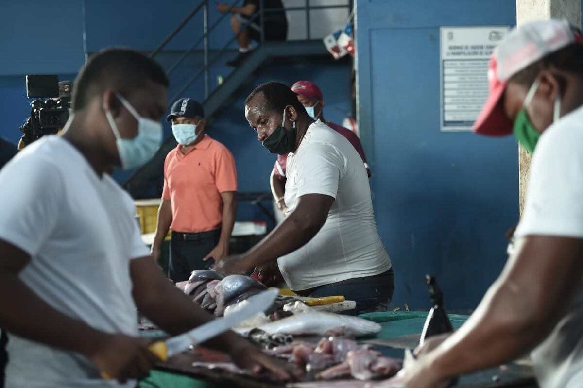 Pescadores donan 4 mil libras de pescados a familias que enfrentan la crisis del coronavirus. Video