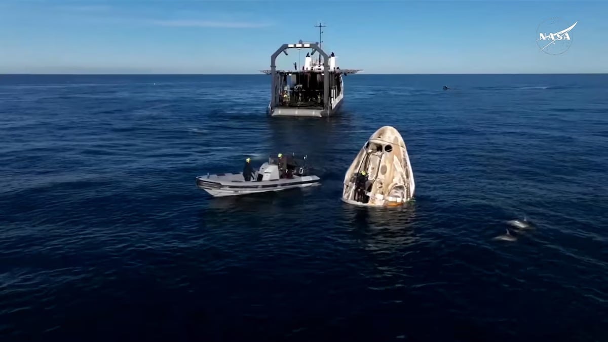 Delfines dan la bienvenida a astronautas varados tras su regreso a la Tierra