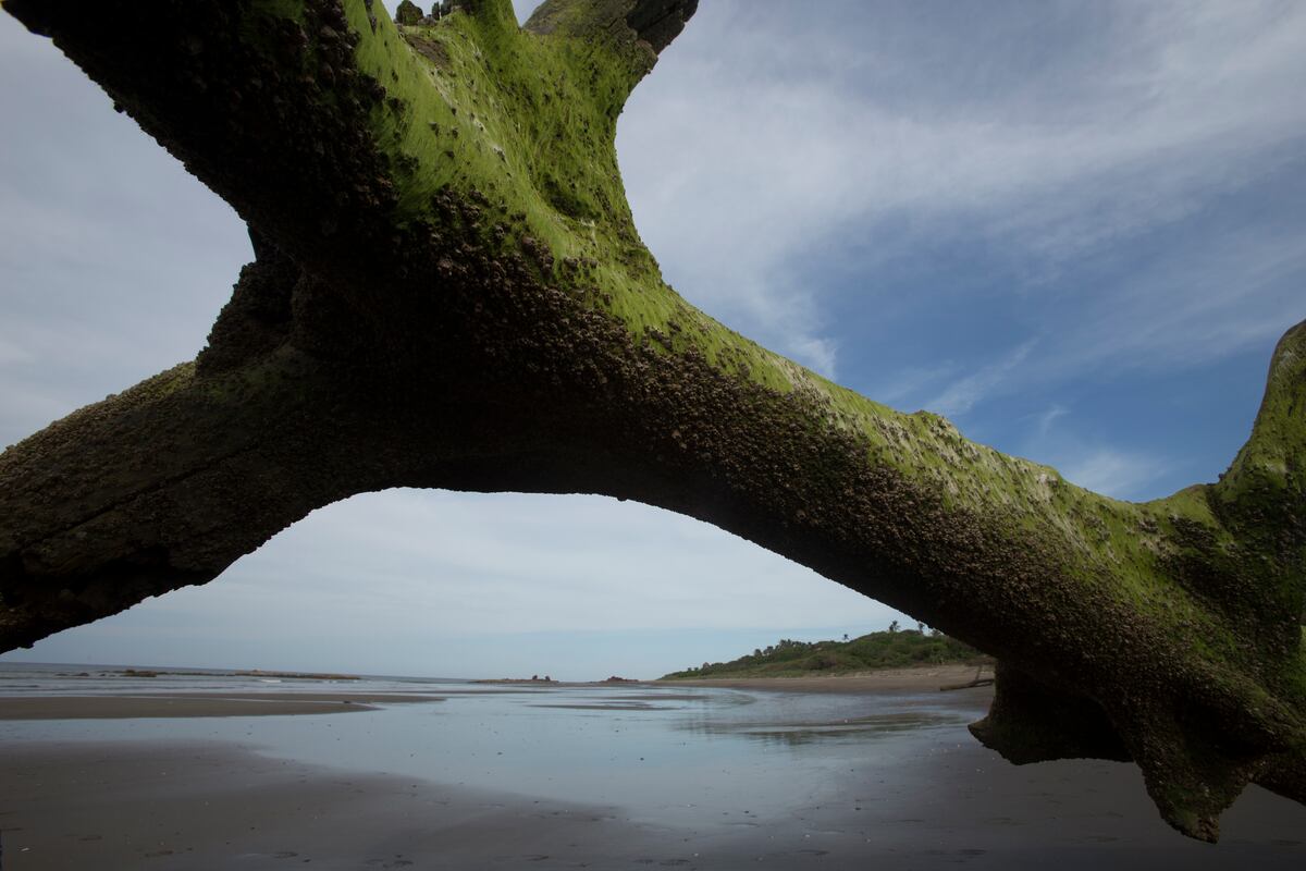 Extranjeras son abusadas íntimamente  mientras acampaban en la playa