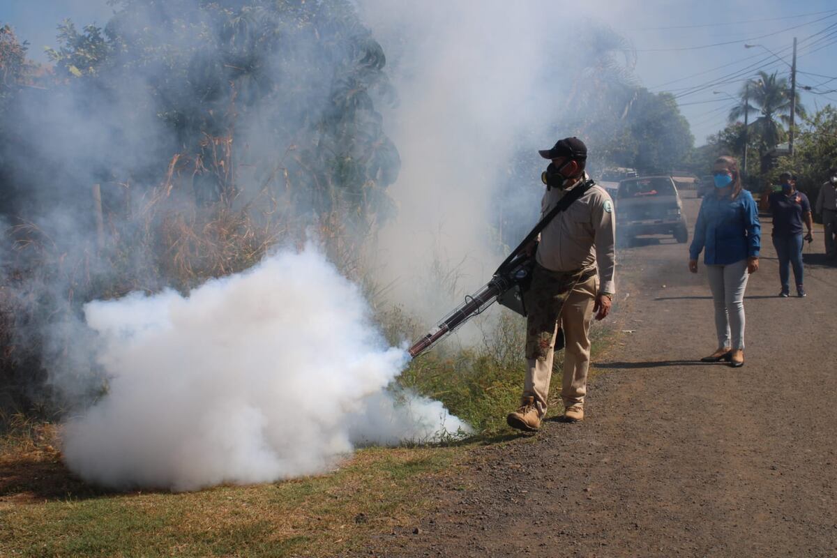 Panamá registra 103 casos por dengue en lo que va del año