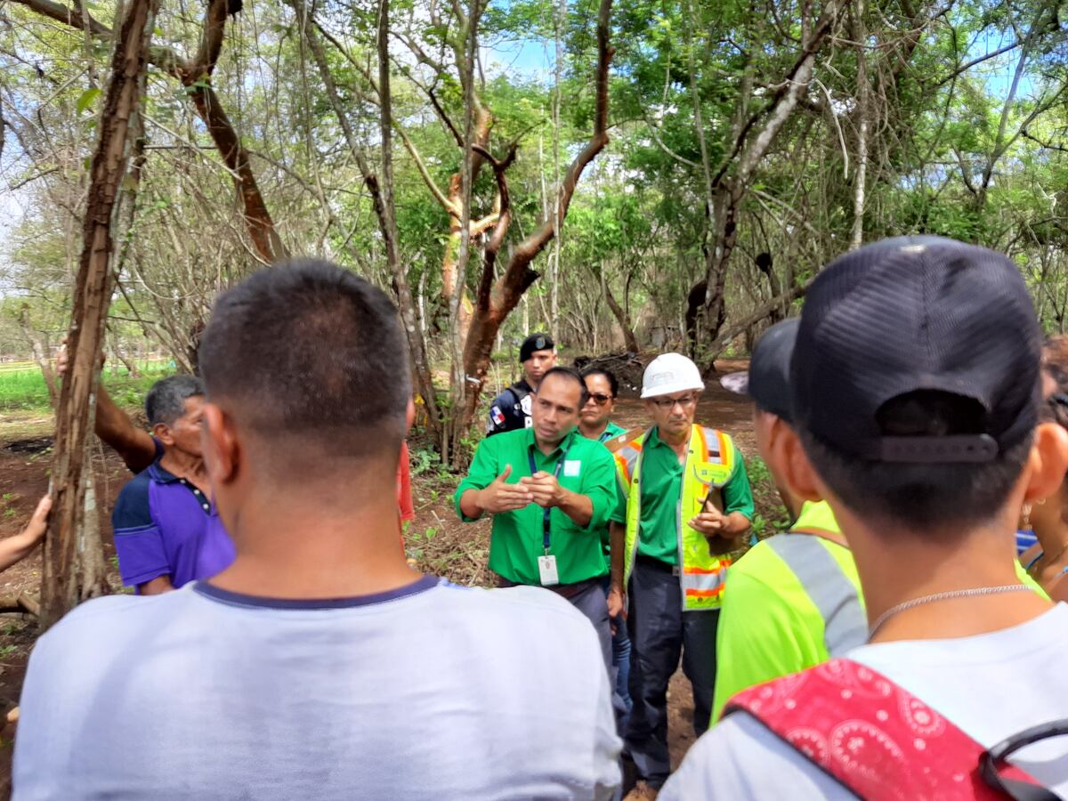 Invasores han arrasado con vegetación en Puerto Caimito