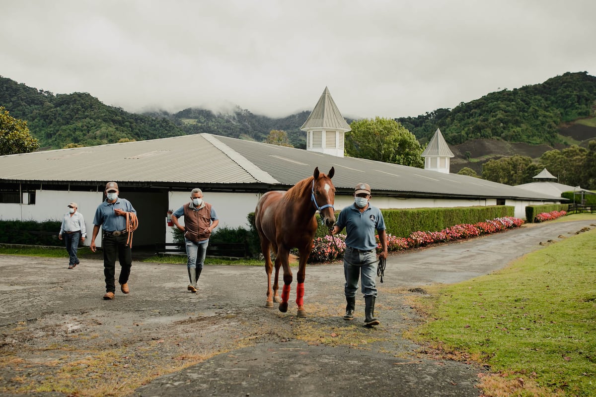 Caballos listos para el Hándicap Haras Cerro Punta: Velocidad y tradición en mil 300 metros