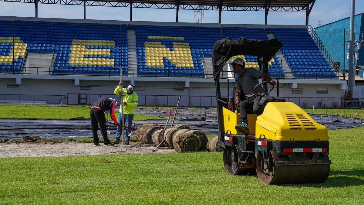 Césped nuevo, pasión renovada: el Estadio Rico Cedeño se transforma