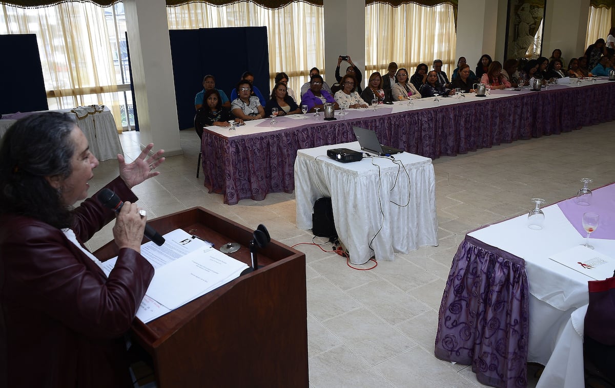 Hay 19 aspirantes para director(a) del  Instituto Nacional de la Mujer  