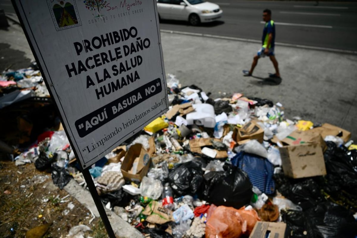 Qué asco. Ratas y basura. Solicitan al ‘flautista mágico’ en los predios de la estación del Metro en San Miguelito