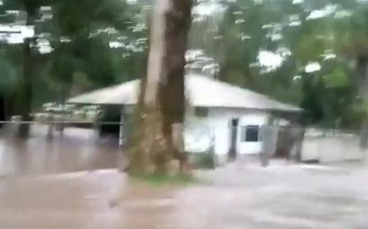 VIDEO| Nivel del río piedra aumenta por lluvias en Chiriquí 