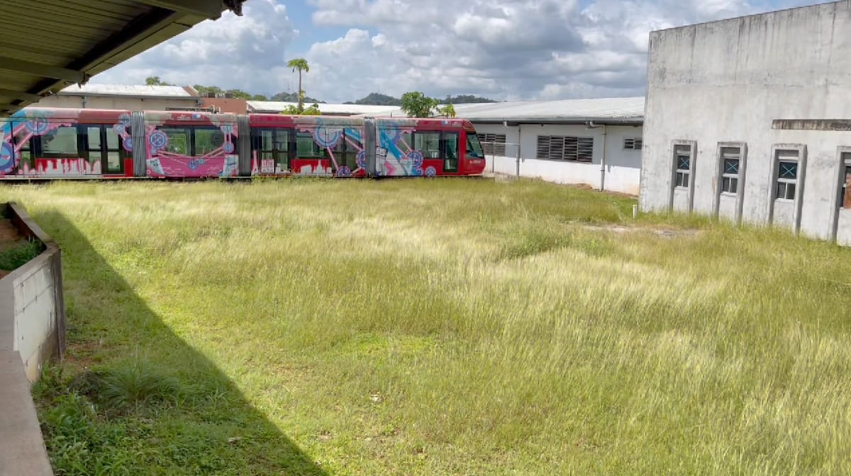 UTP y Meduca desentierran proyecto educativo tras 10 años de abandono