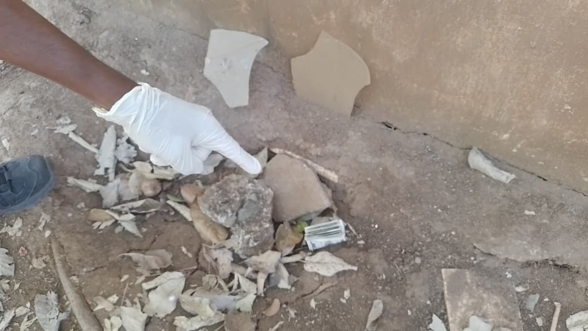 Agarran a 20 hombres; entre ellos, una persona con apariencia femenina por cometer fechorías