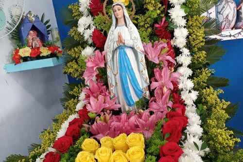 En El Dormidero de San Carlos rinde honores a la Virgen de Lourdes