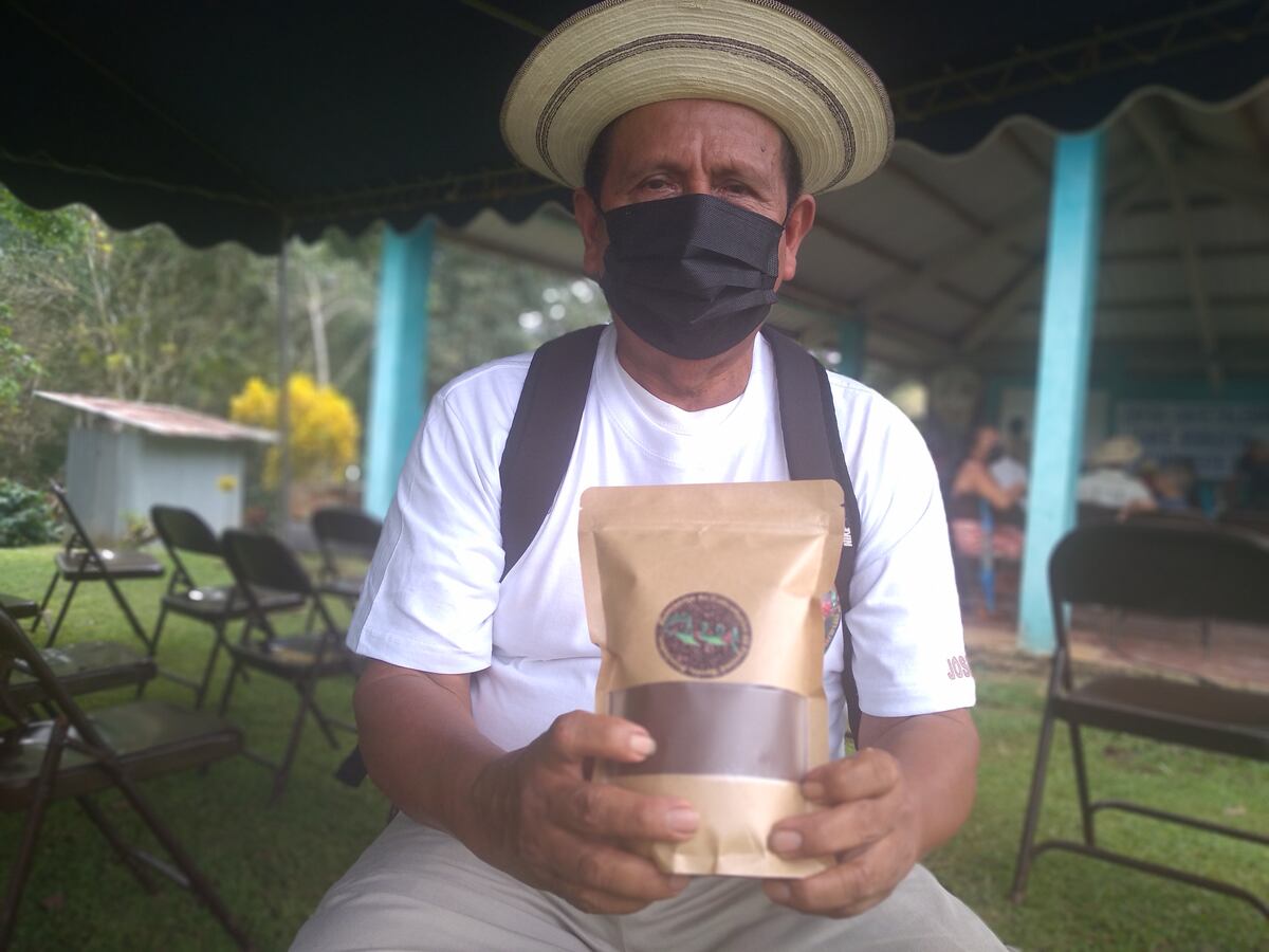 Café, la esperanza de productores en las montañas de Capira