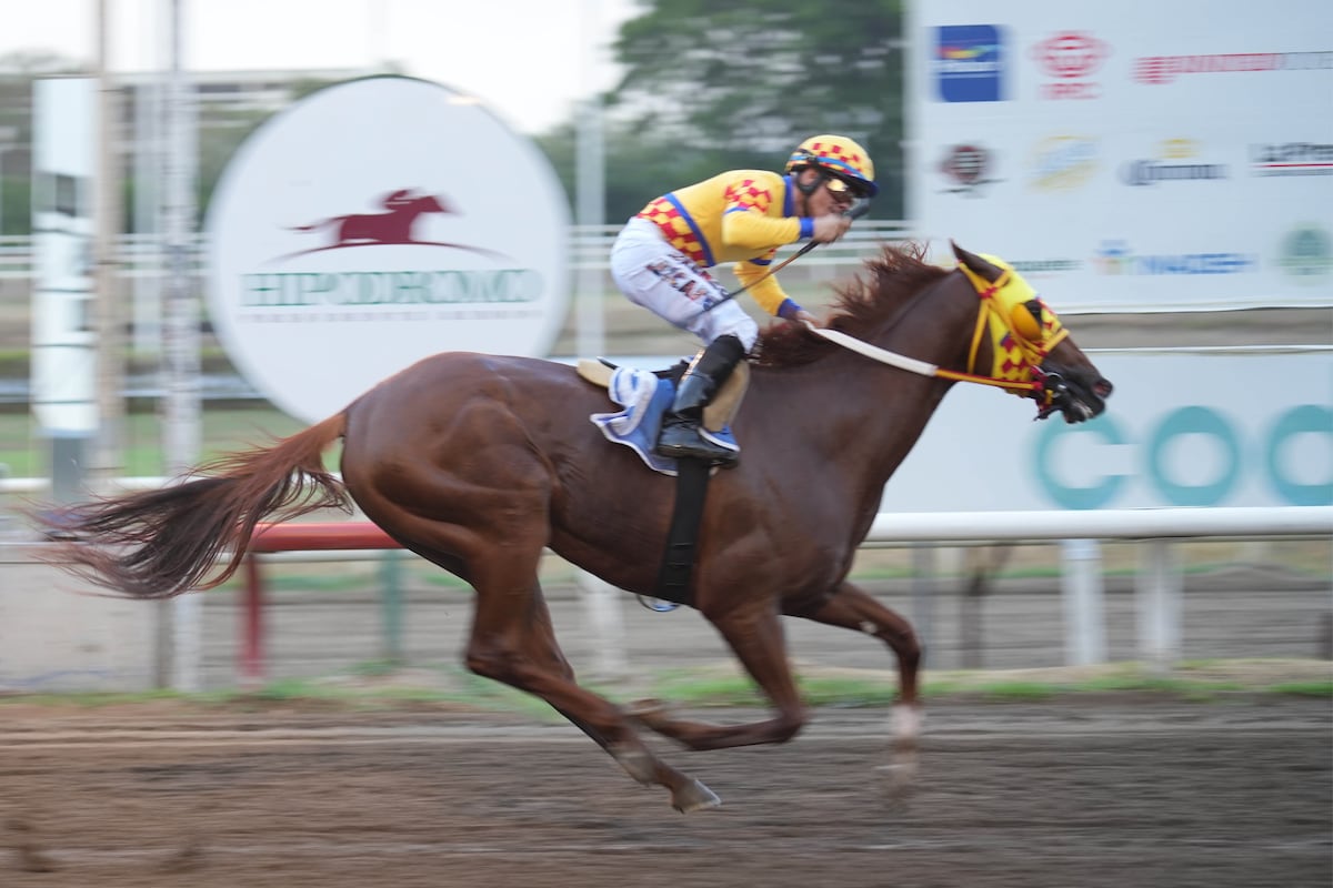 Hipódromo Presidente Remón: Conoce las carreras de este jueves 26 de septiembre