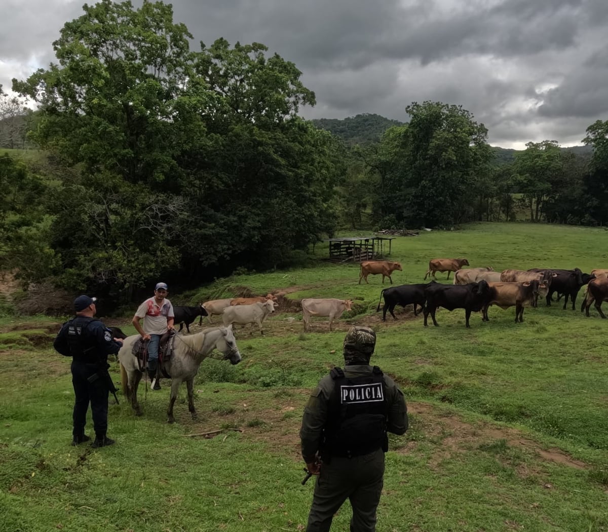 Policía le corta las alas a drones usados para meter contrabando carcelario