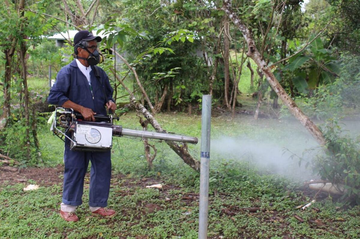 Realizarán jornada de fumigación contra el dengue en el corregimiento Omar Torrijos el lunes