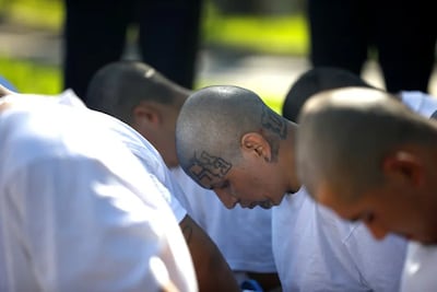 Juicio masivo contra 486 miembros de la Mara Salvatrucha en El Salvador