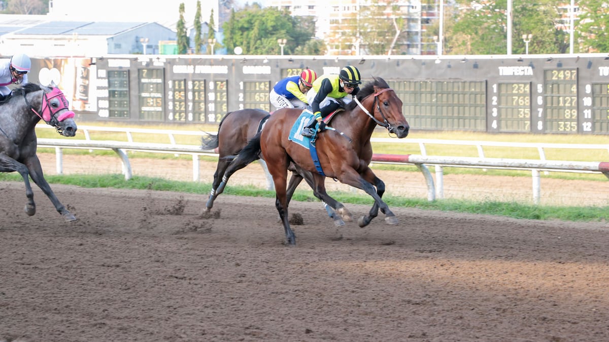 El Brillante ‘Smart Eros’ Se Lleva el Premio RPC en el Hipódromo Presidente Remón