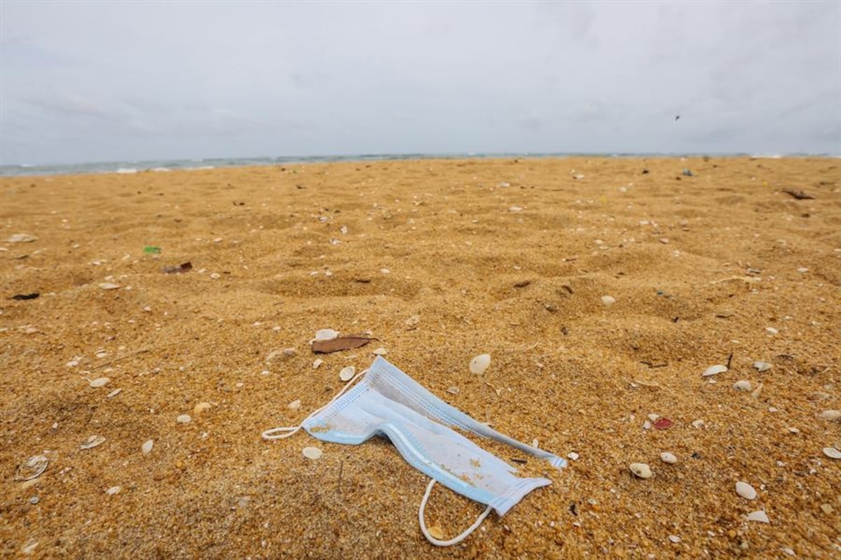 El mar es vida. En el Día Mundial de los Océanos, Mi Ambiente resalta su vital importancia 