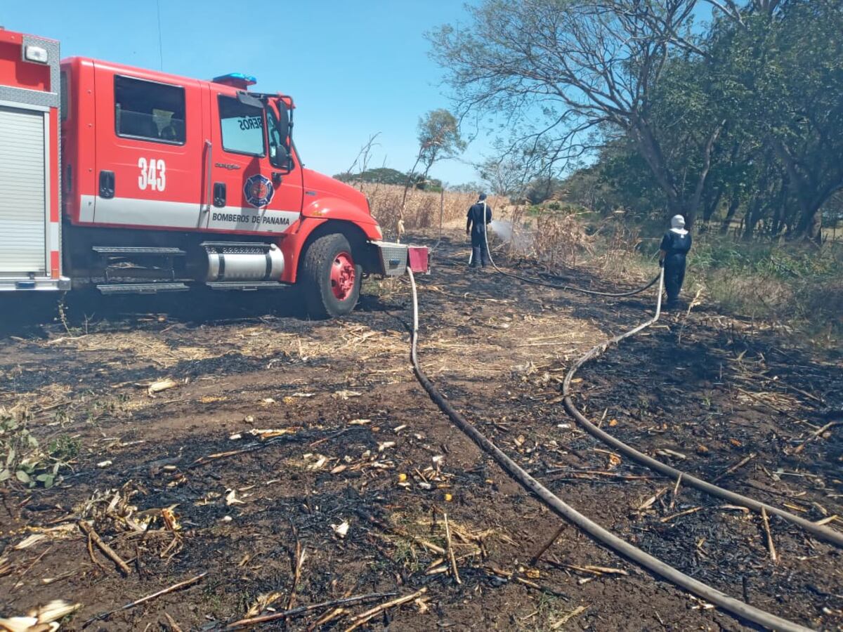 En incremento. Los incendios de masa vegetal en Panamá